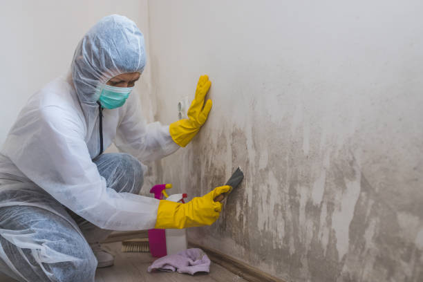 Water Damage Restoration in Canton, GA