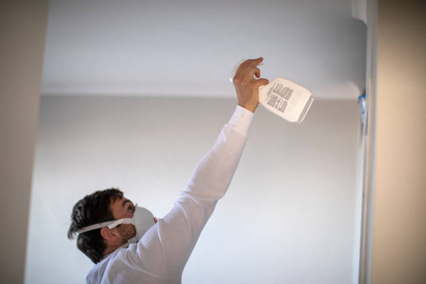 Best Toxic Mold Removal  in Canton, GA