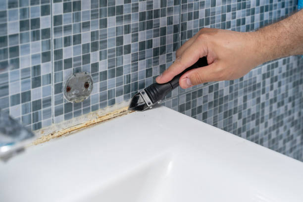 Best Certified Mold Removal  in Canton, GA