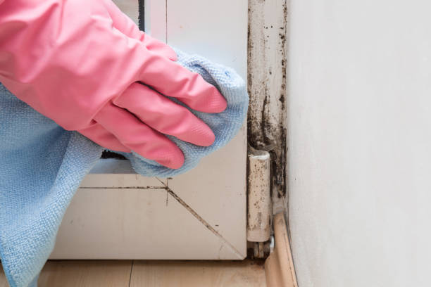 Best Mold Testing  in Canton, GA